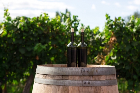 Amarone della Valpolicella