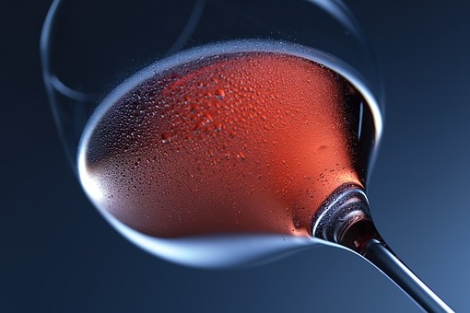 Lambrusco Salamino di Santa Croce