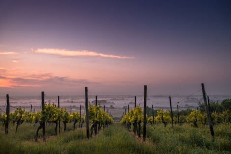 Recioto di Soave