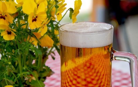 Pale Lager